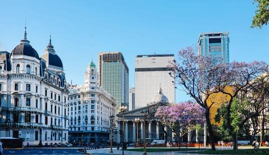 Discover Cannabis in Buenos Aires in 2026