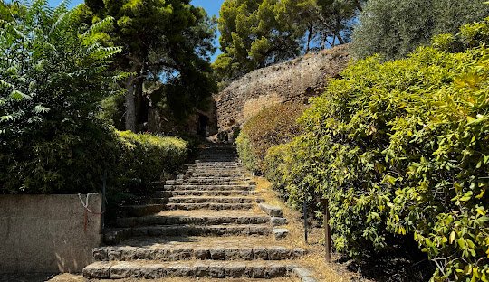 Discover THC Cannabis in Kalamata (Greece) 2026