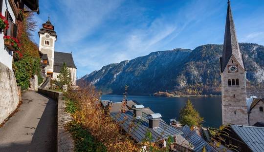 Discover weed in Hallstatt Austria (2026)