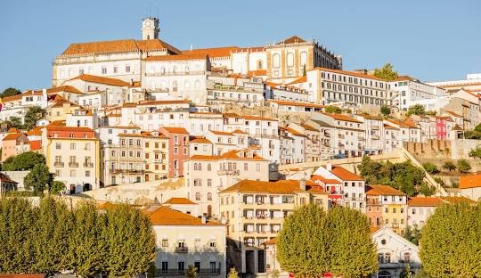 Discover Weed in Coimbra 2026