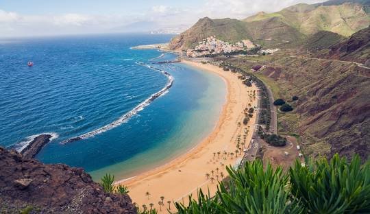 Discover Weed in Tenerife Spain (2026)