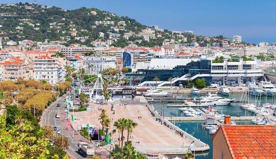 Discovering Cannabis in Cannes France (2026)