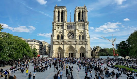 Discover weed in France (2026)