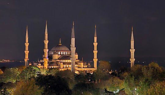 discover weed in Turkey (2026)