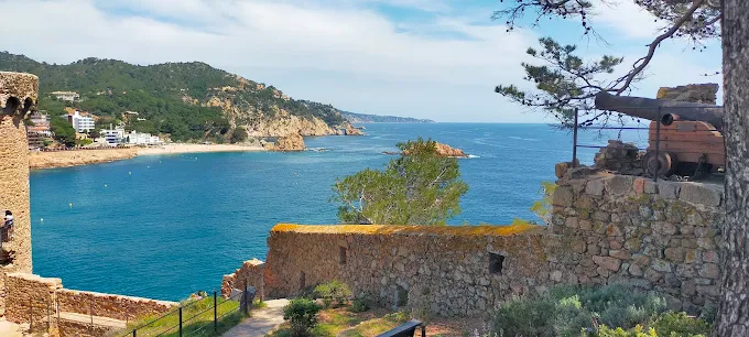 Where to get weed in Tossa de Mar, Spain. Find out more on cannabis laws and culture in Tossa de Mar.